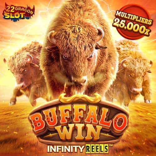22-Banner-Buffalo-Win-min