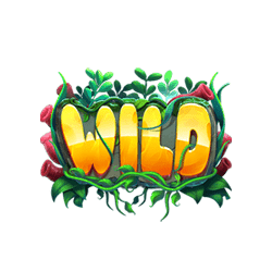 Wild-Fishin’-Reels-min