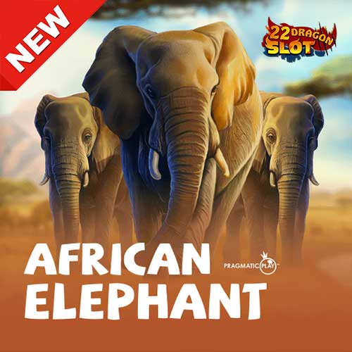 22-Banner-African-Elephant-min
